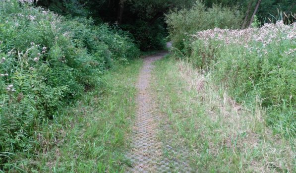 grid reinforcement for wetlands trails